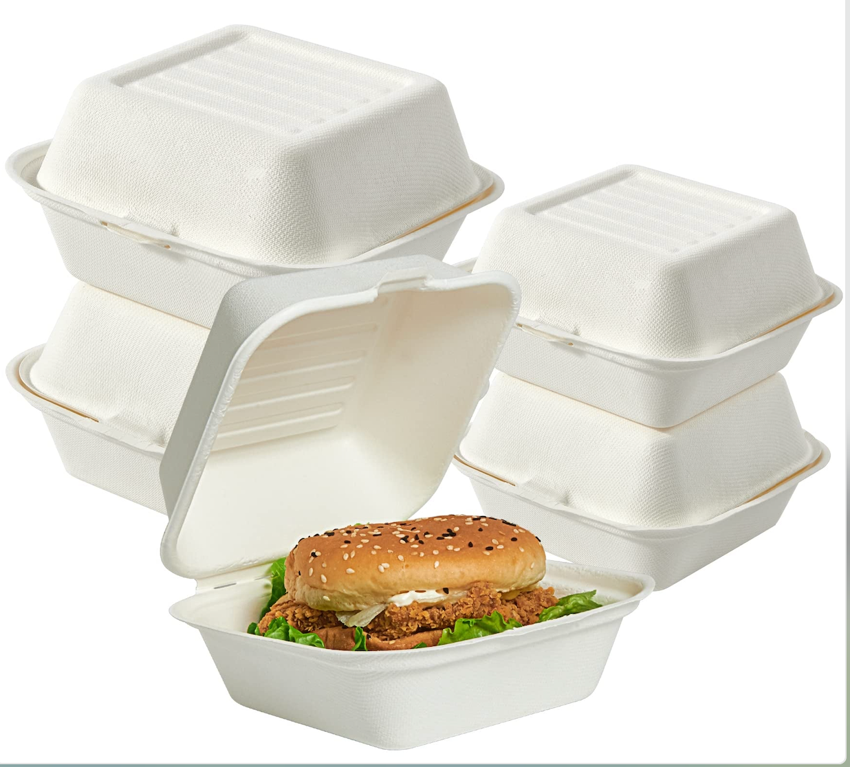 Pack Of 500 Bagasse Burger Biodegradable (152mm/6")