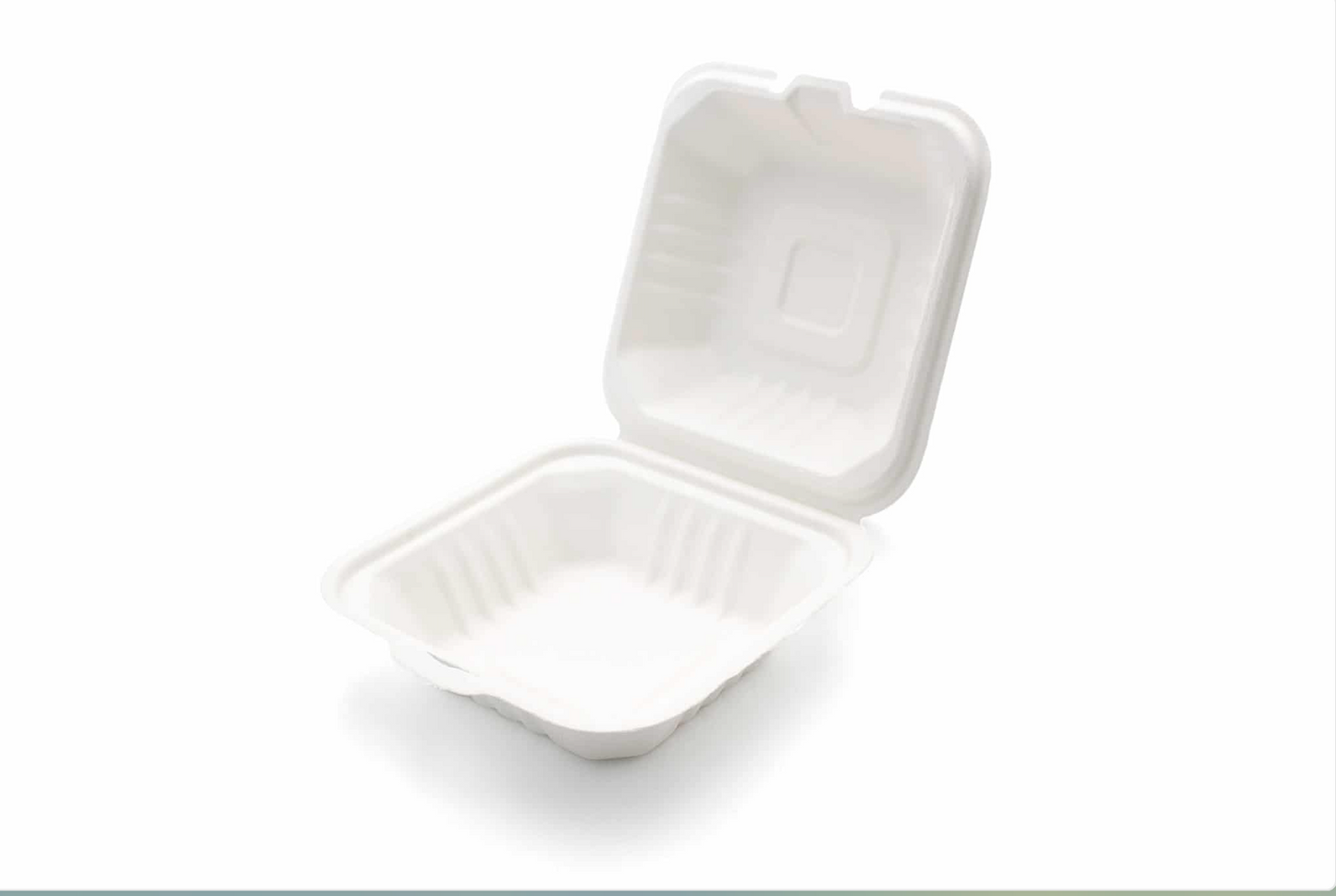 Pack Of 500 Bagasse Burger Biodegradable (152mm/6")